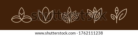 collection of brown lily flower icon designs, lily flower set icon clip art