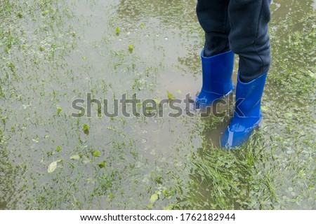 
The child stands in the garden in the water Royalty-Free Stock Photo #1762182944