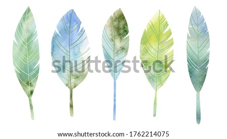 Tropical decorative leaves. Jungle botanical watercolor illustrations, floral elements, a set of banana palms, green leaves. Template. Clip art. Greeting card design.