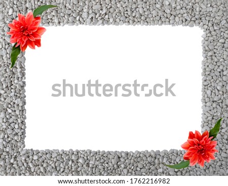 Summer or autumn frame of grey stones,piles of pebbles with 2 flowers of Royal Dahlia and green leaves in corners,around rectangular copy space.Natural texture isolated on white background,top view