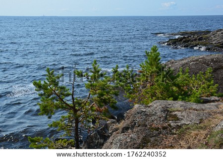 The rocky shore of Lake Ladoga in Karelia on a clear sunny day. Beautiful nature of water and pine trees in the rocks, horizontal photo