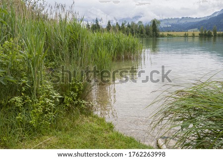 A view of a mountain alpine lake on a summer day. Lake with hills, water and blue sky with clouds. Green forest by the lake in reflection in the water beauty in nature