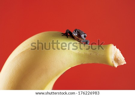 My banana
