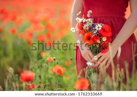 Bouquet of wild flowers in the hands of a girl against a poppy field. Close-up, background, copy space. Country lifestyle concept.