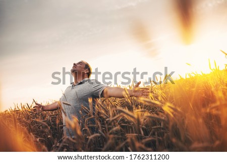 Beautiful picture of happy amazing adult man or agricultural guy enjoying his time in middle of ripe golden wheat field. Looking up in sky and hold hands aside body. Sunrise or sunset