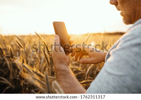 Cut view picture of adult man holding smartphone in hand. Guy agronomist stand alone at golden wheat field. Taking pictures or using phone. Sunset or sunrise day time