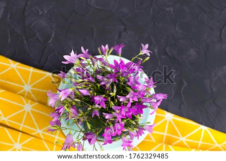 A Cup filled with bright pink flowers on a yellow-black abstract background, a view of the still life is from above