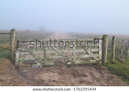 Moldy wooden fence gate in dirt road with foggy background and tire tracks