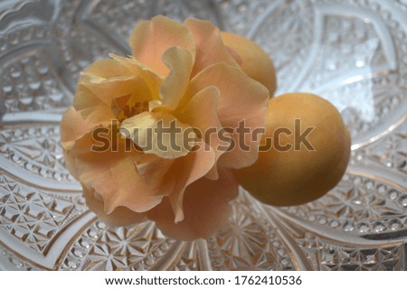 Delicate rose and ripe apricots on openwork glass.