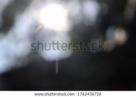 Blurred images under light of sun