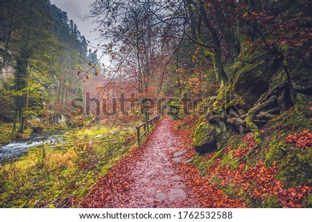 The Kamnitz Gorge in Saxon switzerland national park in Czech republic on the Kamenice River, Bohemian Switzerland.