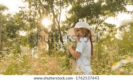 little beautiful girl collects a bouquet of wildflowers. A child with a bouquet of daisies