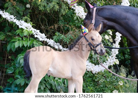 A brown mare and a yellow foal with hats on the head and guirlandes in the trees. Background for greeting card, congratulations, invitations.