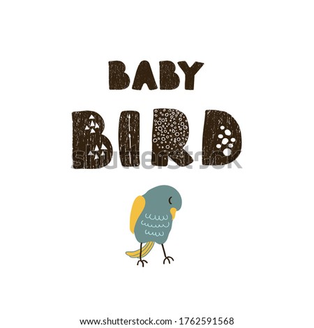 Vector illustration of bird and hand drawn lettering, Baby bird. Colorful typography design in Scandinavian style for postcard, banner, t-shirt print, invitation, greeting card, poster, graphic design
