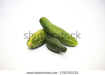 Cucumbers are fresh and healthy