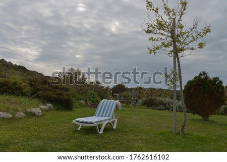 blue striped lounge chairs in a green garden