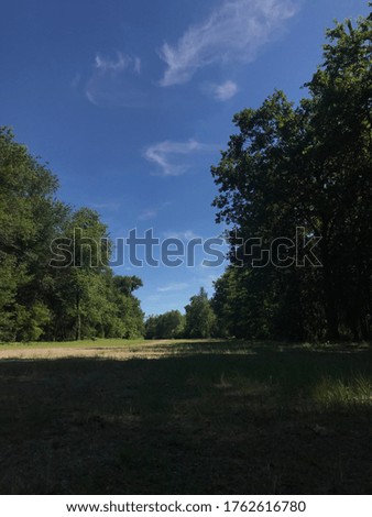 
landscape of a blue sky with shadows in the woods