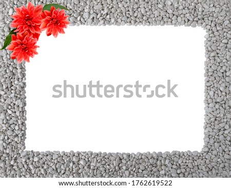 Summer or autumn frame of grey stones,piles of pebbles with 4 flowers of Royal Dahlia in its corners around rectangular empty copy space.Natural stone texture isolated on white background,top view