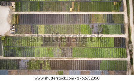 Colorful asymmetrical small farming places