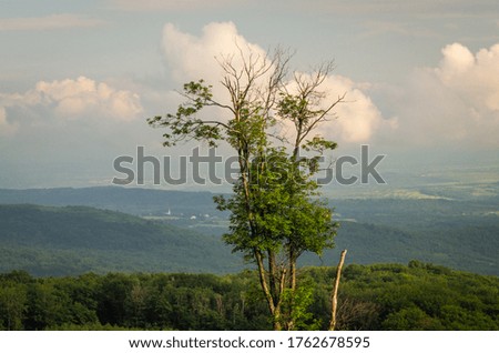 View from the mountain forest to the valley