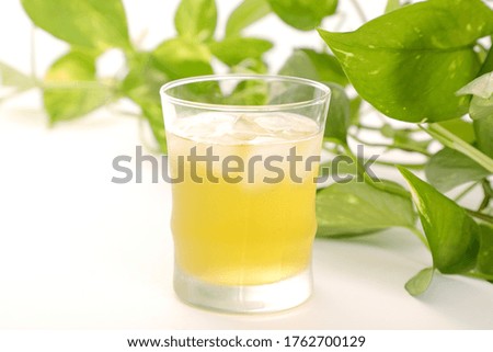 ice green tea with plant