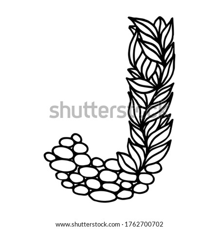 Hand of drawn vector letter J isolated on white background. English alphabet capital letters with a pattern of plants and stones. Beautiful natural illustration. Typographic Template. Eps 8.