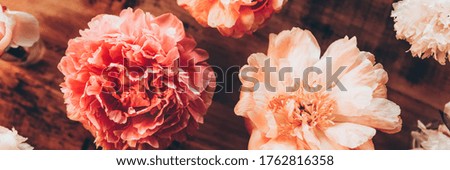 Abundance of Peonies Bouquet, Fresh bunch of flowers on rustic background. Card Concept, shoot from above, flat lay, banner size