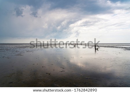 Calm and tranquil seascape at the beach at low tide in Wadden S