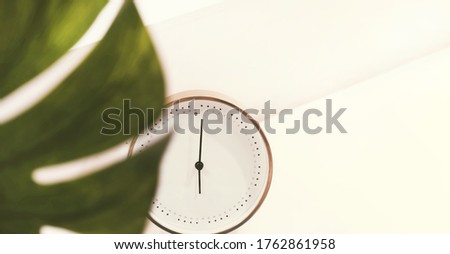 White modern watch on a white background with green leaf. Copyspace, mockup
