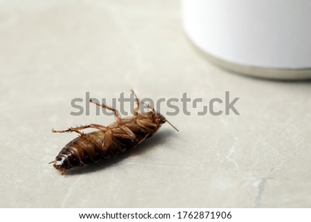Dead brown cockroach on light grey marble background, closeup. Pest control