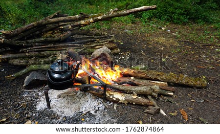 Steep tea on campfire in forest, Camping in nature