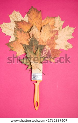 Autumn leaves and a brush are laid out on a pink background. Autumn colors of autumn.