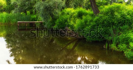 
A beautiful place in nature. Location for fishing. Panorama
