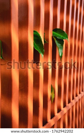 green leaves popping out between bright orange bars