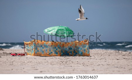 sunbathers with a screen and an umbrella on the white sand against the blue sky and the sea