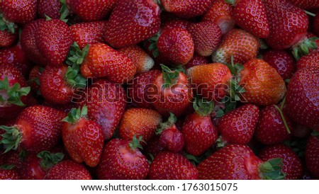 fresh Kashubian strawberries in closeup