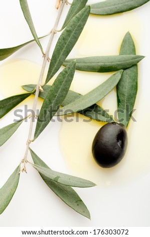 olives with leaf and oil