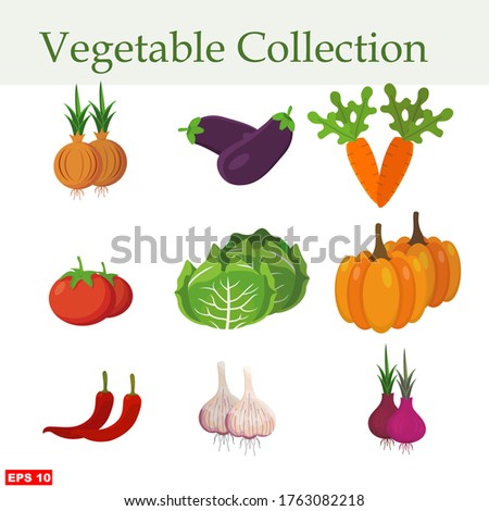 vector illustration of Vegetables. A collection of vegetables. illustration of chili, garlic, onion, onion, carrot, pumpkin, cabbage, eggplant and tomato in flat style. Vector Illustration. Editable. Royalty-Free Stock Photo #1763082218