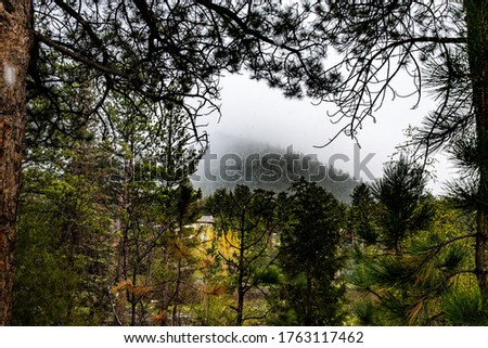 Colorado Spring Mountain Landscape Scenery
