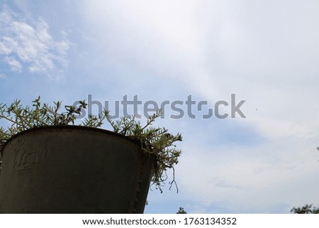 Flower pot with blue sky background photo cover