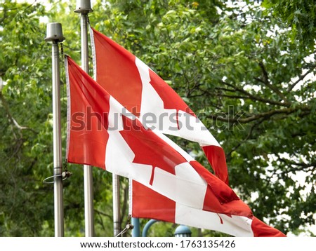 three Canadian flags waving slowly against a green forest background