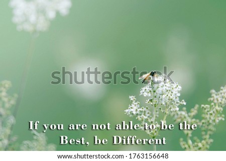 If you are not able to be the Best, be Different. Inspirational qoutes