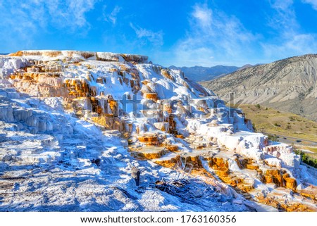 Water cascades over the travertine terraces of Canary Spring at Mammoth Hot Springs in Yellowstone National Park. The limestone terrace features change constantly due to hydrothermal water flow.