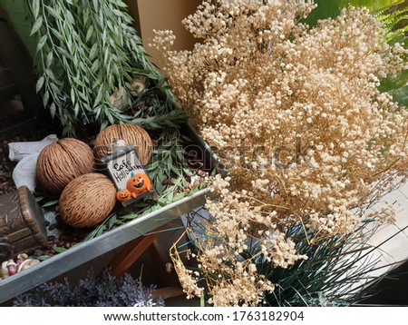 Close up picture of dry flower and fruit use for background and can decorate menu.