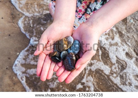 A little girl holds in her hands colored sea pebbles on the beach, rest by the sea, vacation