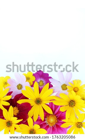 A bright floral arrangement of yellow and crimson flowers on a white background. Background for greetings, invitations, and postcards.