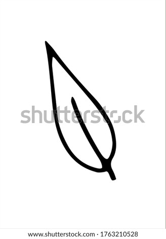 Vector hand drawn illustration of plant leaf in Doodle style. Empty outline isolated on a white background. Simple design for scrapbooking, coloring books, and theme design