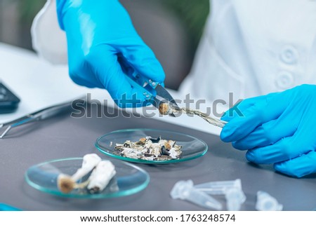 Scientific Study Experiment with Psilocybin, a derivative from Magic Mushrooms Royalty-Free Stock Photo #1763248574