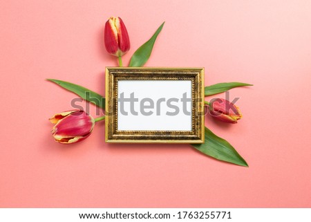 Empty photo frame with red tulip flowers on coral red background. Floral composition, flat lay, top view, copy space