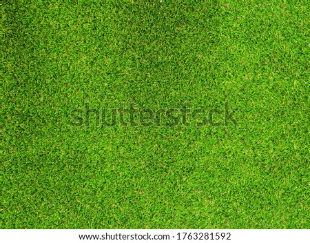Top view Artificial Grass Ideal for use in the background design  put images and insert text
